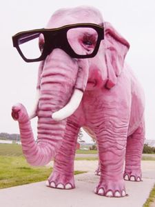 pink_elephant1.jpg